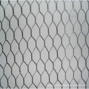 Mesh de protection contre le filet de fil hexagonal